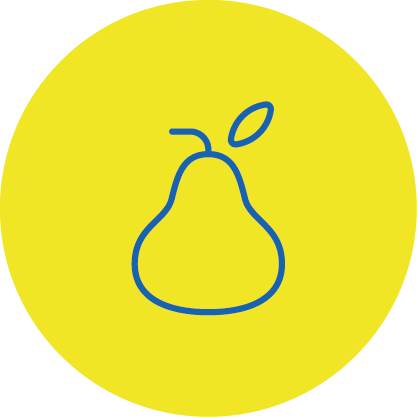 Obst Icon